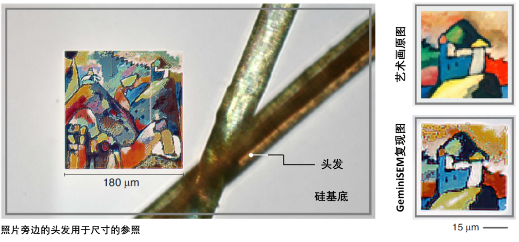 青岛蔡司青岛扫描电镜