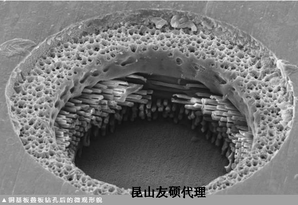 青岛蔡司青岛扫描电镜